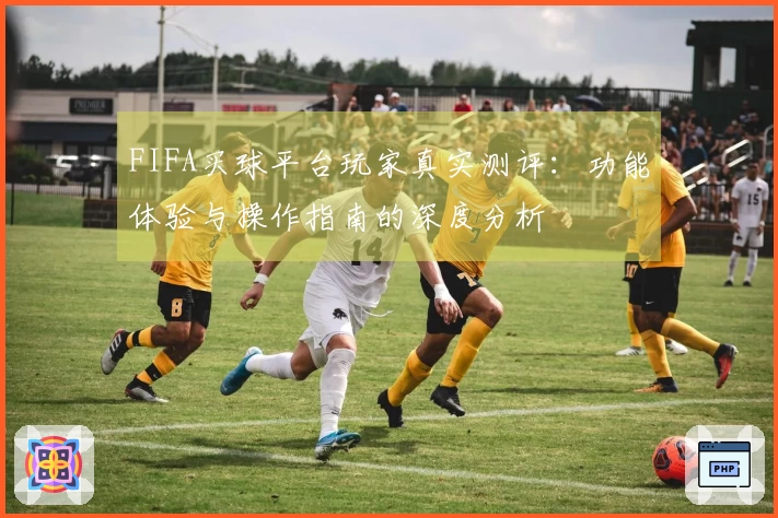 FIFA买球平台玩家真实测评：功能体验与操作指南的深度分析