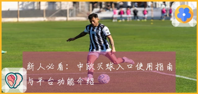 新人必看：中欧买球入口使用指南与平台功能介绍
